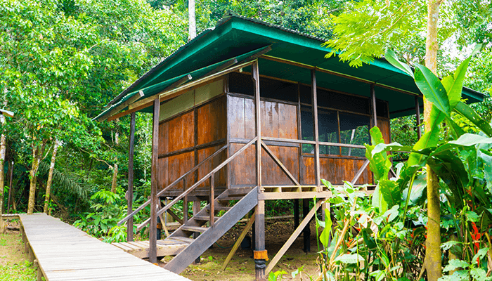 Tambopata Cabin 2