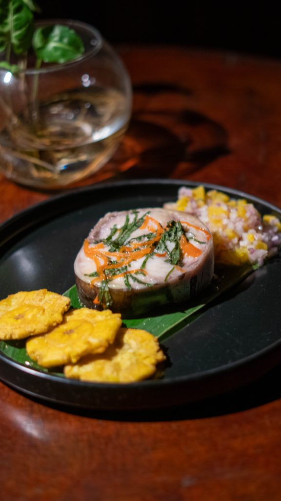 Amazon Planet Peru - Gourmet Fusion