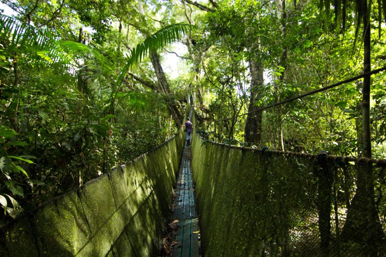 Taricaya Canopy Walkway