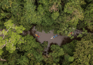 Kayak in Briolo Creek