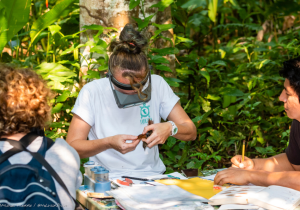 Conservation projects